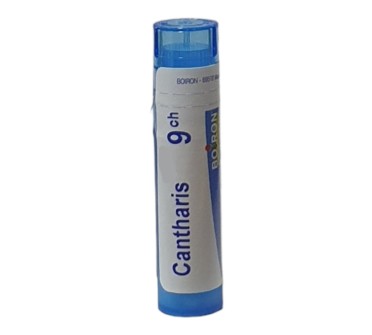 CANTHARIS 9 CH